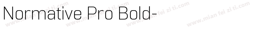 Normative Pro Bold字体转换